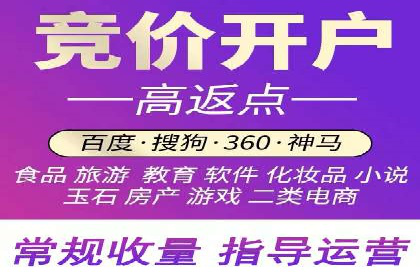 竞价推广技巧分享：成功案例剖析